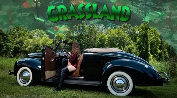 Grassland for FB header